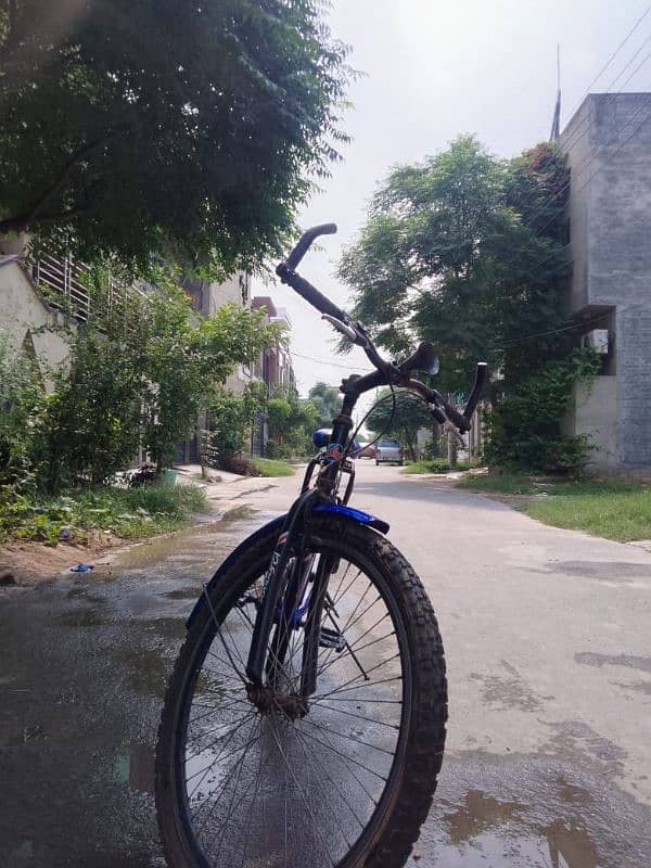 12 SPRINGS BICYCLE FOR SALE! 5