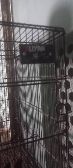 birds cage 8×4 best conditions