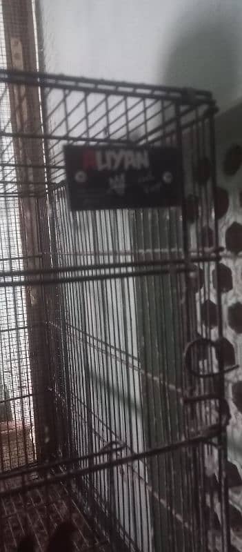 birds cage 8×4 best conditions 0