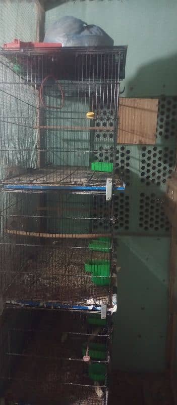 birds cage 8×4 best conditions 3