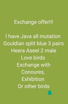 Exchange offer