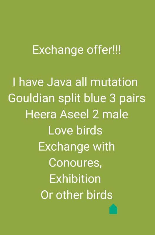 Exchange offer 0