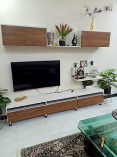 TV Console