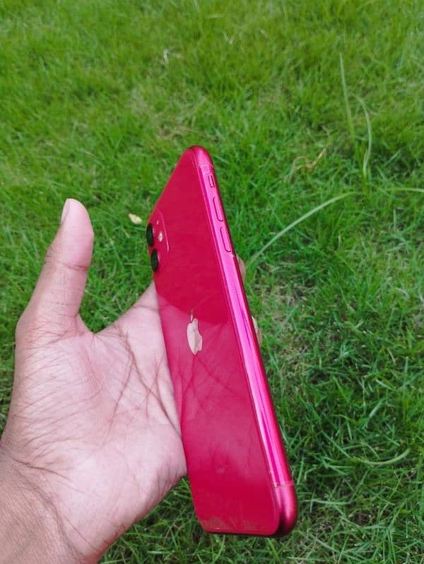 iPhone 11 non PTA 6