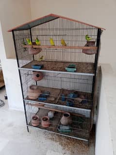 Big size cage