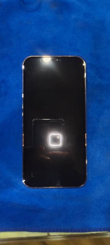 iphone 12 pro max 128gb dual pta approved 10/8 condition 1