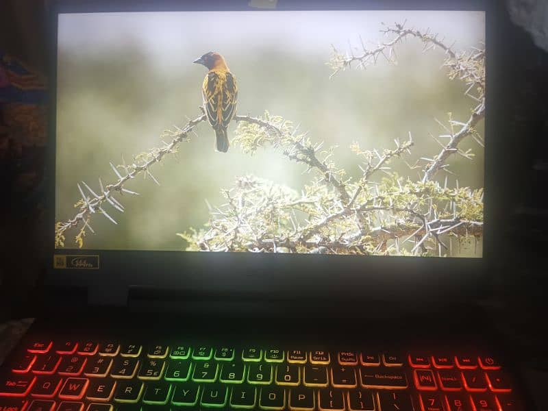 Acer nitro 5 3