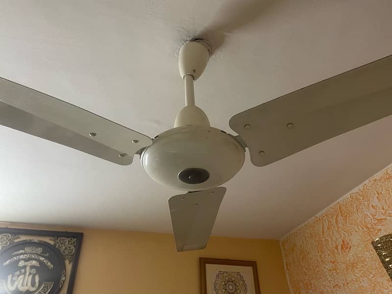 celling Fan 2