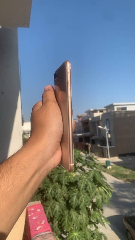 iphone 8 plus pta approved 2