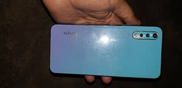 vivo