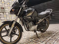 Yamaha Ybr 125 2023 11K Driven Only