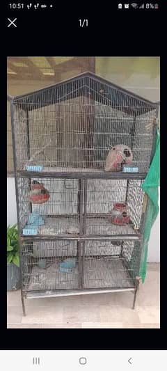 birds cage