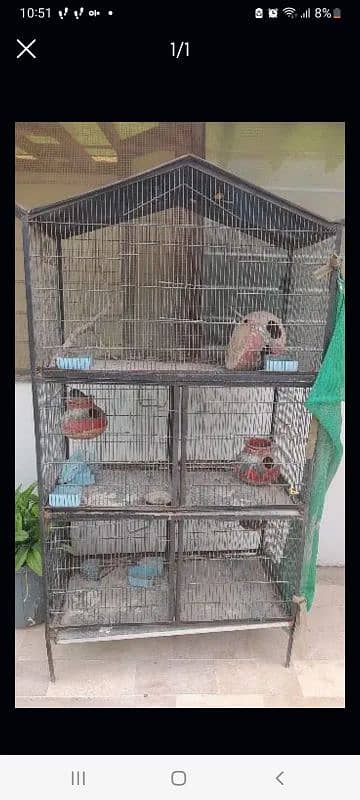 birds cage 0