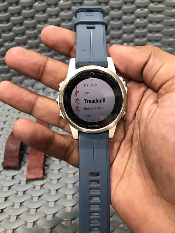 Garmin fenix 5S 6