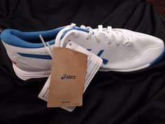 brand new Asics shoes article num:4550457348997 GEL-PEAKE 2 SIZE : 10