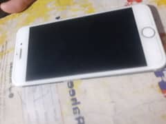 iPhone 6 ptaprove