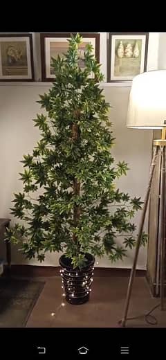 Christmas tree, indoor Artificial plants, Planters , Lamps