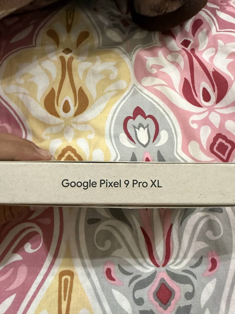 Google Pixel 9 pro XL 3