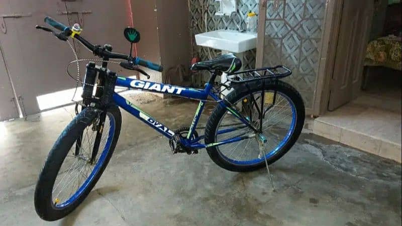 Giant Bicycle 1