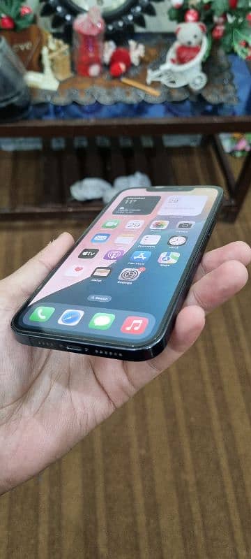 Iphone 12 pro max 0