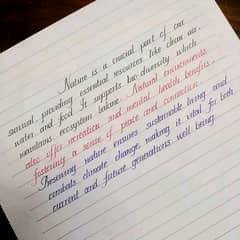 Handwriting assignment work