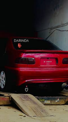 Honda Civic dolphin