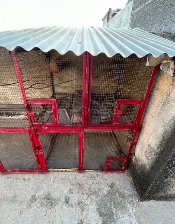 Cage For Sale 1