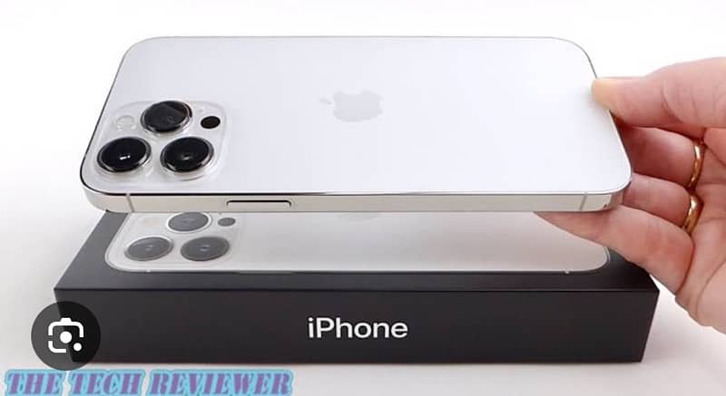 Iphone 13 Pro Max silver colour 1