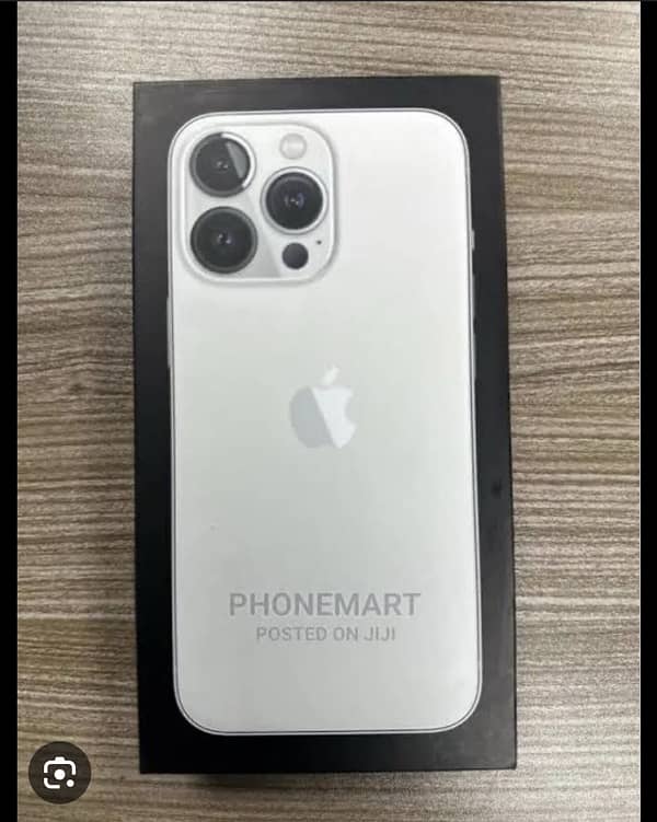 Iphone 13 Pro Max silver colour 2