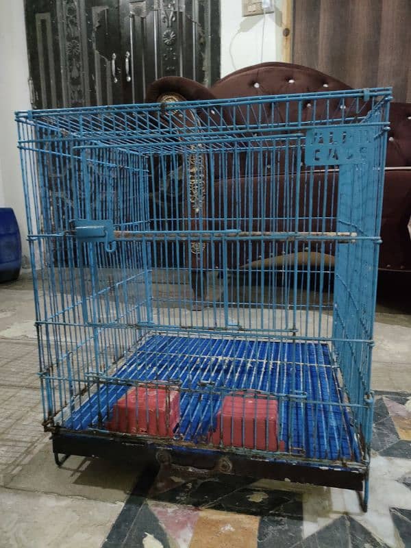 Cage for sale 0321#7242445 3