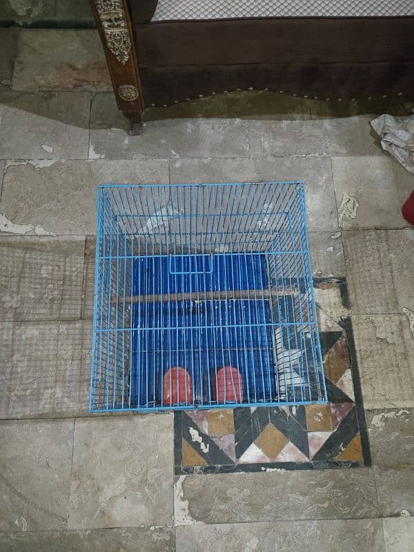 Cage for sale 0321#7242445 4