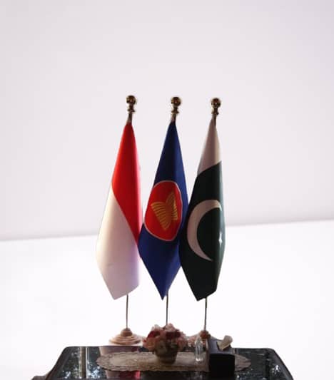 Indoor company Flag for CEO Office / Director, Country Flags, Pak Fla 8