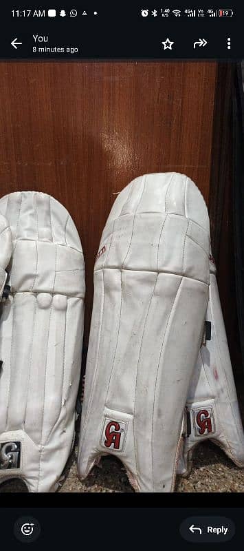 cricket pads,helmet, gloves 9