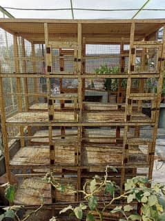 wooden cage 10 portion 2 cages available