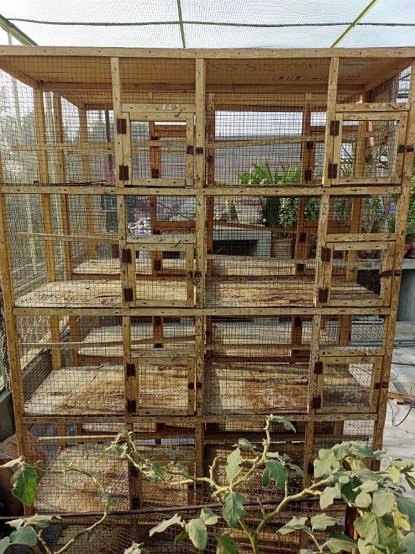 wooden cage 10 portion 2 cages available 0