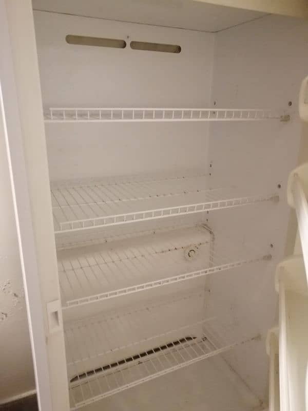 vertical freezer 6