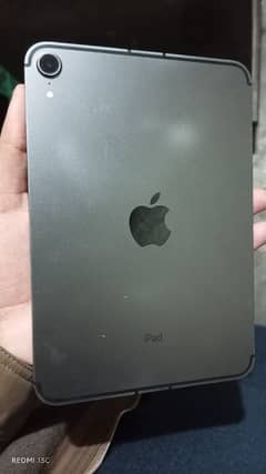 Ipad Mini 6  (256 gb)