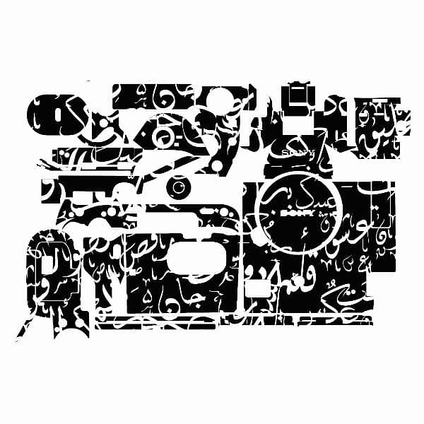 camera skins & wraps 9