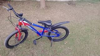 I am selling champion original cycle