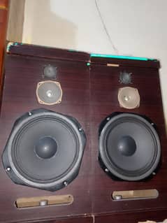 Hand Made Speakers With Mp & Stands