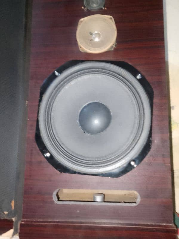 Hand Made Speakers With Mp & Stands 4