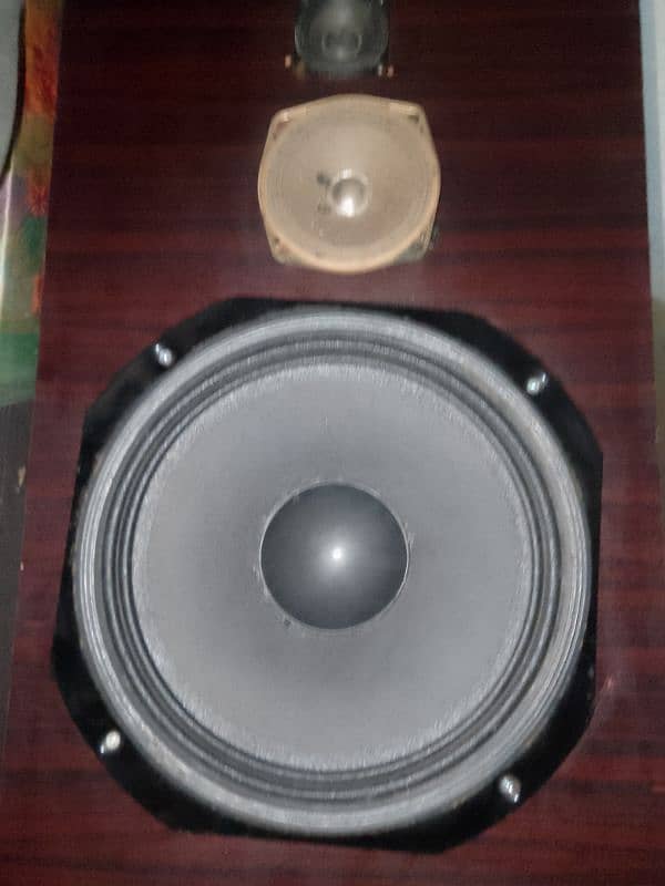 Hand Made Speakers With Mp & Stands 5