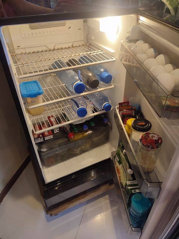 PEL glass door fridge 1