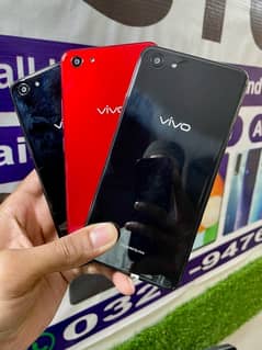 vivo