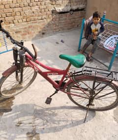 cycle for sale