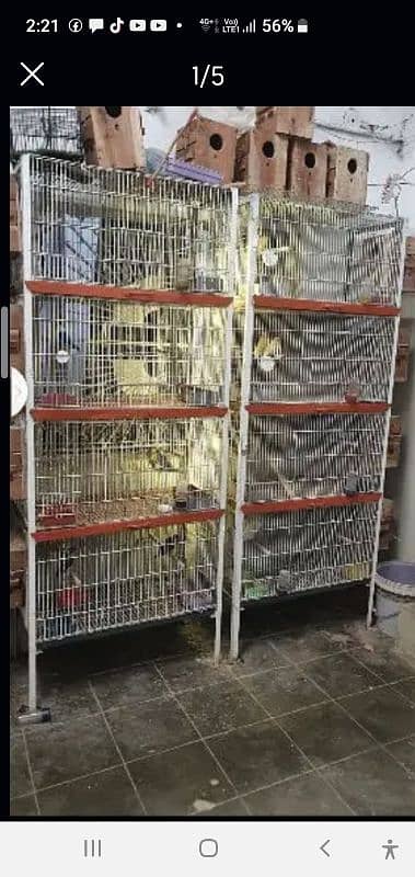 Lovebird Havy Cage 1