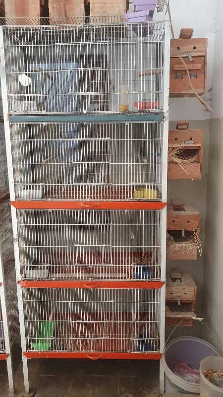 Lovebird Havy Cage 2