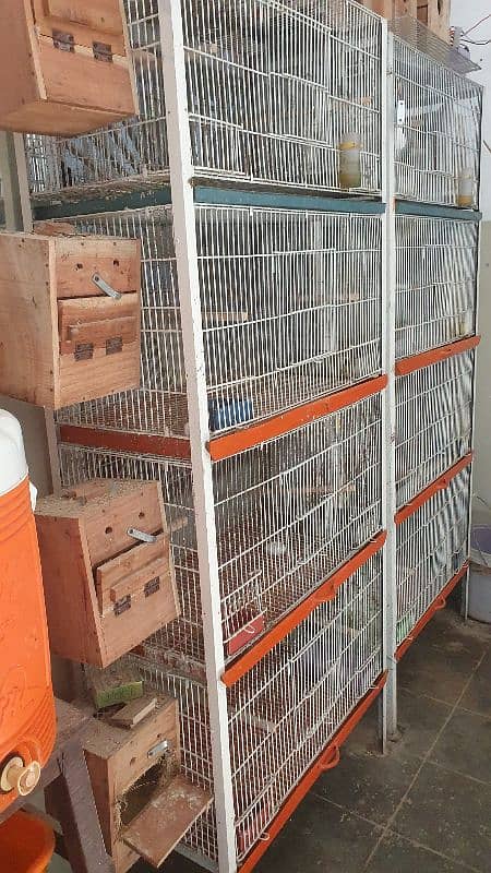 Lovebird Havy Cage 4