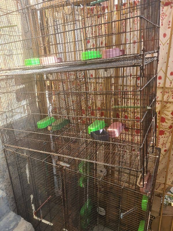 8 portion folding cage for sale 1