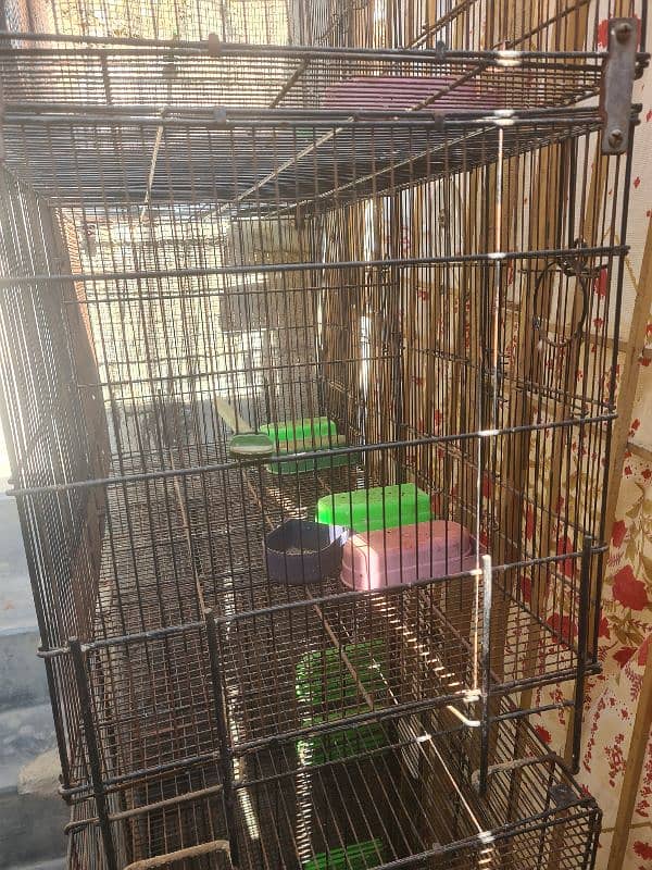 8 portion folding cage for sale 5